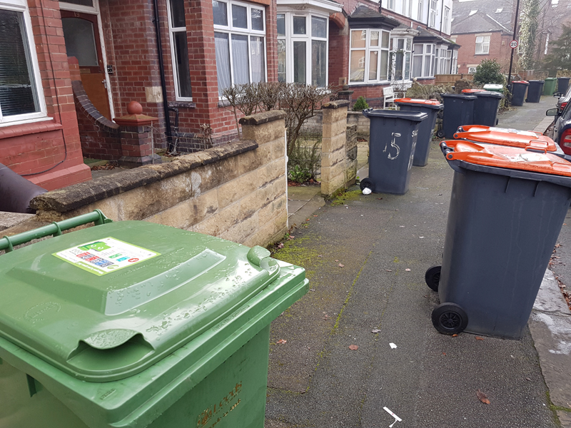 bins-on-pavement